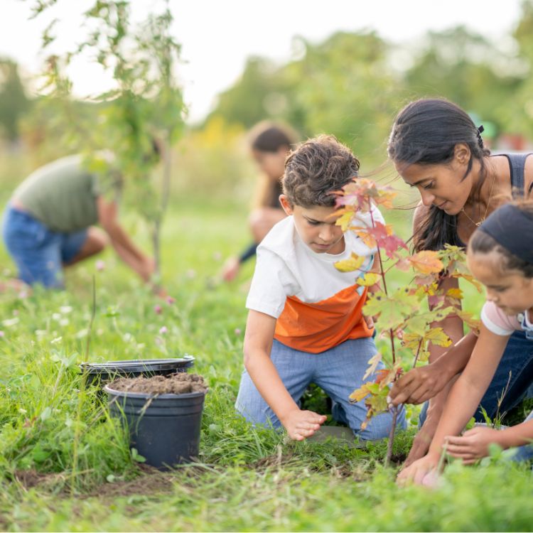 Fonds verts ProxiPur et initiatives écologiques en Estrie