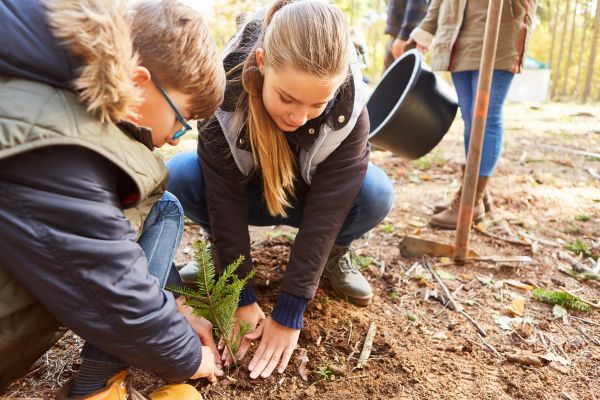 Engagement et projets communautaires en Estrie